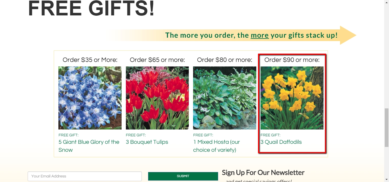 15 Off Burgess Seed & Plant Coupon Codes 2018 Dealspotr
