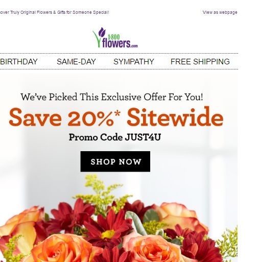 Darcy Cochran 1800 Flowers Birthday Promo Code / 1 800 Flowers Com